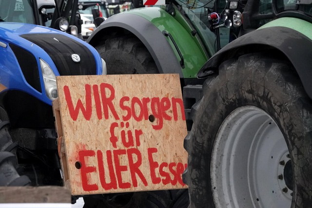 Schon am vergangenen Montag waren die ...t ihren Traktoren im Dreisamtal aktiv.  | Foto: Rabea Gruber (dpa)