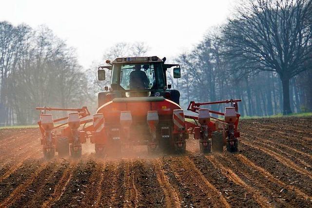 Subventionen in der Landwirtschaft: Viel Geld fr groe, wenig fr kleine Betriebe