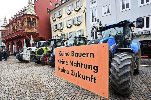 Traktoren auf dem Mnsterplatz  | Foto: Rita Eggstein
