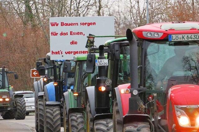 Traktorkorso zum Abschluss der Bauern-Proteste im Kreis Lrrach