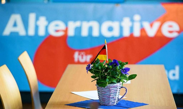 Die AfD wird voraussichtlich die Zahl der Mandate im Lahrer Gemeinderat steigen.  | Foto: Oliver Dietze (dpa)