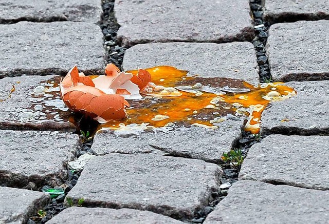 Ein Ei sollte einen Ordnungsdienstmitarbeiter in Grenzach treffen (Symbolfoto).  | Foto: Boris Roessler