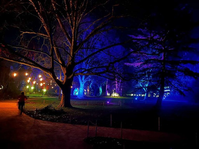 Die Lichter im Rheinfelder Stadtpark w...Leider haben sie auch Diebe angelockt.  | Foto: Valentin Zumsteg