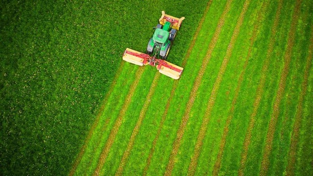 Die sogenannte Flchenprmie ist dafr...nen oft nicht bei den Bauern ankommen.  | Foto: IMAGO/Daniel Scharinger