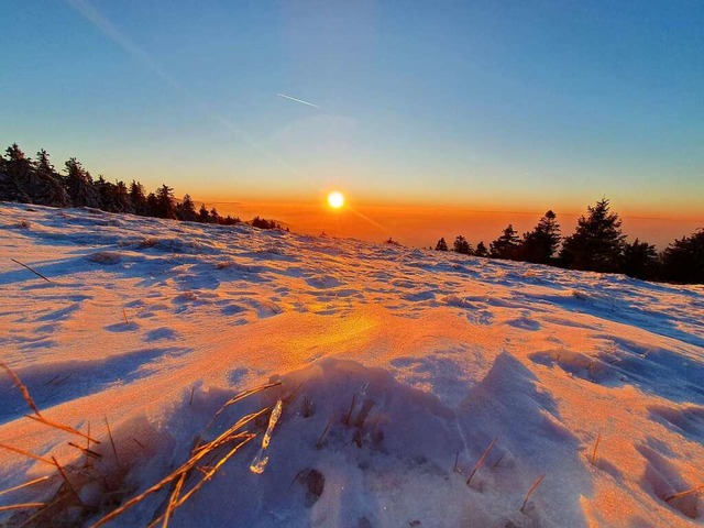 Winter auf dem Kandel.  | Foto: Andreas Volk