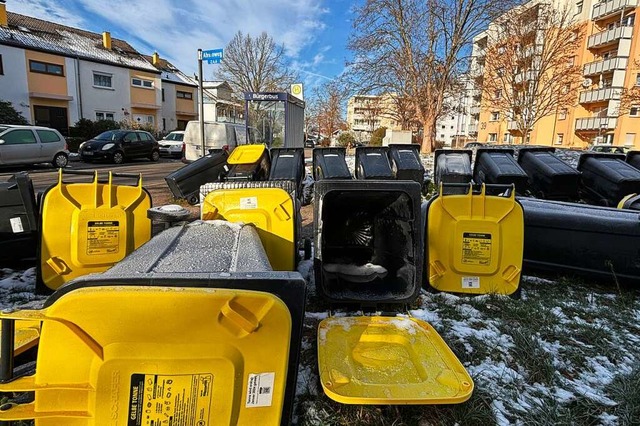 43 neue Tonnen liegen vor dem Vonovia-Gebude Ahornweg 2.  | Foto: Frank Schoch