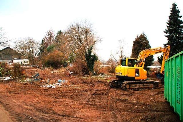 Die Vorarbeiten fr die B34 vertreiben in Wyhlen Tiere aus der Winterruhe