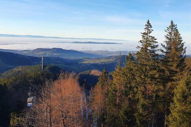 Unten Nebel, oben Sonne: Wie kommt es in der Region Freiburg immer wieder zu Inversionswetter?