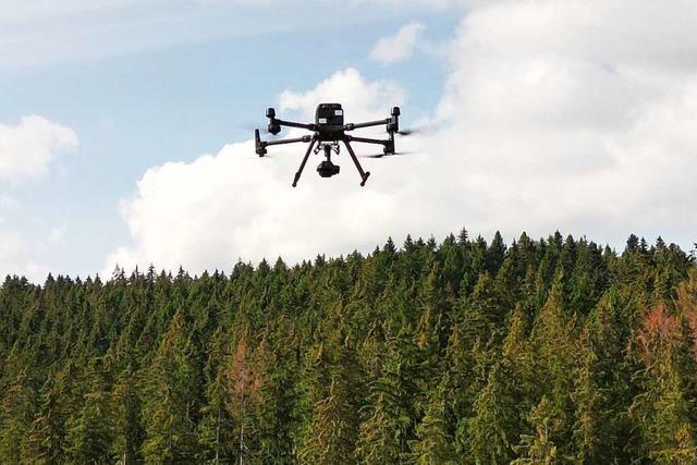 Freiburger schaffen Erweiterte Realitt im digitalen Wald