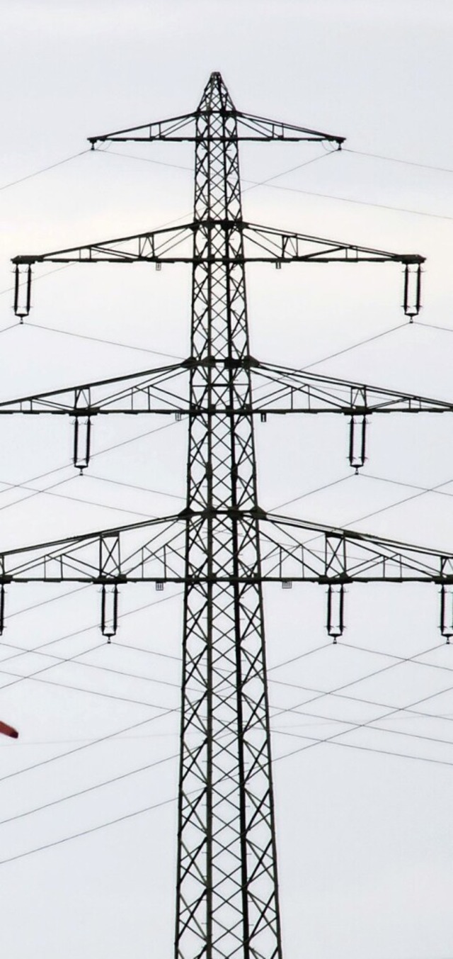 Zwischen Breisach und Eichstetten soll...hspannungsleitungen neu gebaut werden.  | Foto: Julian Stratenschulte