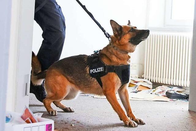 Polizeihunde suchen in leerstehendem Gasthaus in Kirchhofen nach Rauschgift – fr Trainingszwecke