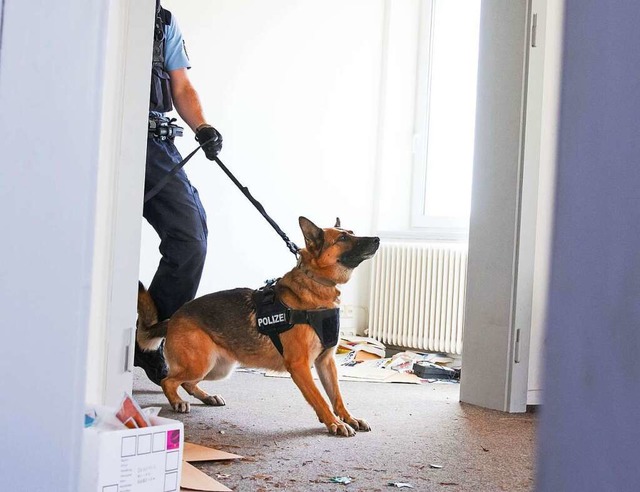 Polizeihunde mssen regelmig trainie...iner bung  in einer Wohnung zu sehen.  | Foto: Polizeiprsidium Freiburg