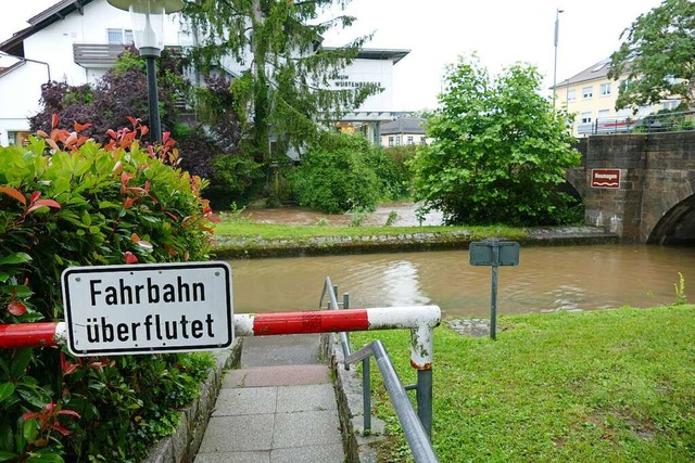 Nach der Vorstellung des Arbeitskreise...etenden Hochwasser abgemildert werden.  | Foto: Frank Schoch