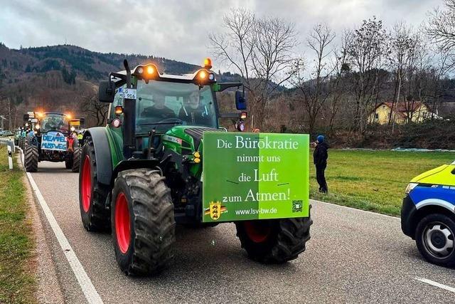 Bauernproteste: Ein Traktorenkorso soll am Sonntag von Todtnau nach Lrrach fahren