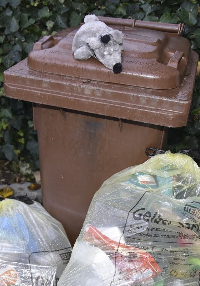 Eine Biotonne und zwei gelbe Scke war...e in Verzug, was viele Kunden rgert.   | Foto: Susanne Schn