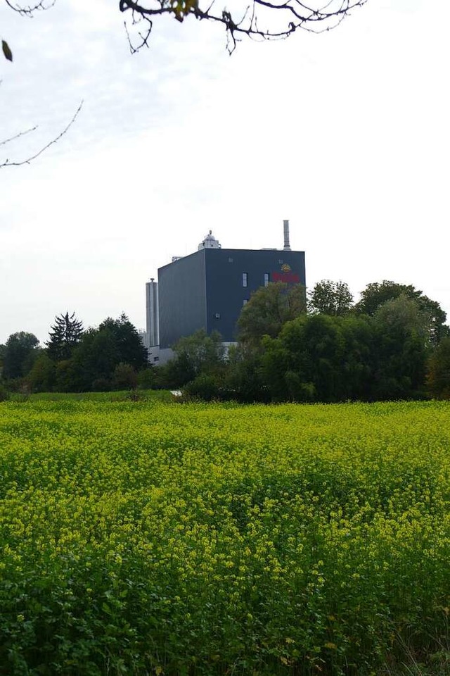 Die Zukunft der insolventen Biopulver-Fabrik in Teningen ist weiter offen.  | Foto: Philipp Peters