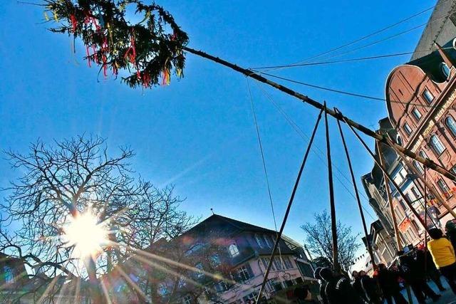 Fotos: Mit dem Narrenbaumstellen hlt die Fasnacht Einzug in Lrrach