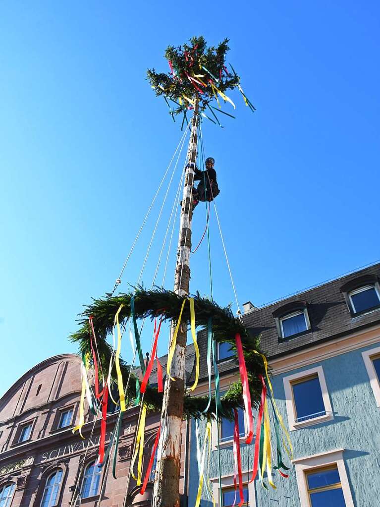 Impressionen vom Narrenbaumstellen in Lrrach