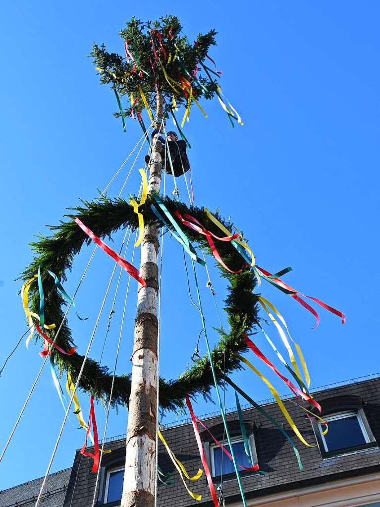 Impressionen vom Narrenbaumstellen in Lrrach