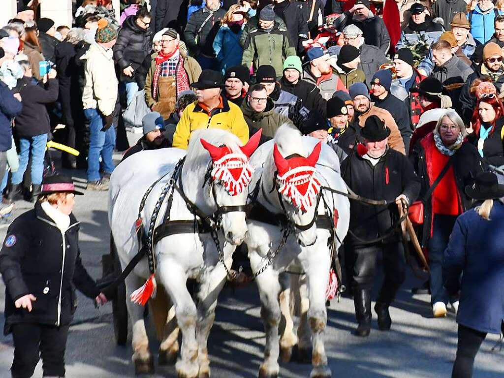 Impressionen vom Narrenbaumstellen in Lrrach