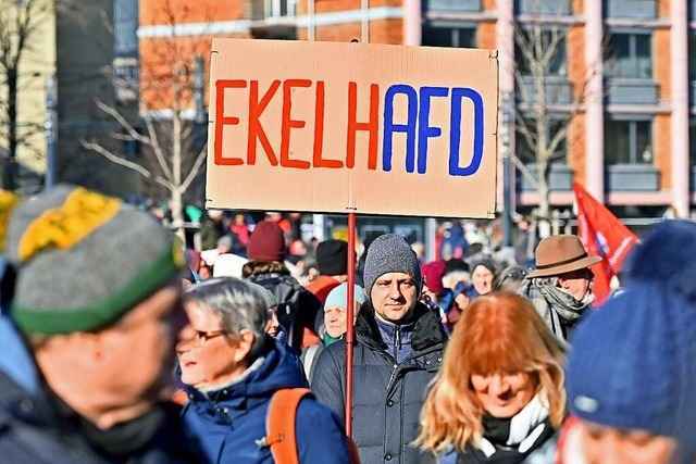 Gut 80 000 Menschen bei Demonstrationen in Baden-W�rttemberg gegen rechts