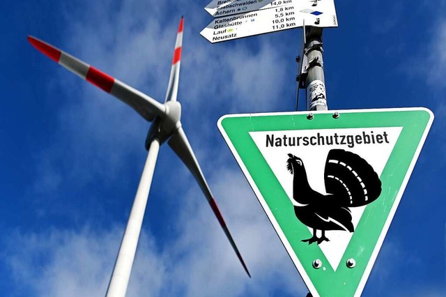Windkraft gegen Auerhuhn? Oder doch Wi...f der Hornisgrinde im Nordschwarzwald.  | Foto: Uli Deck/