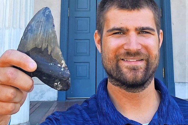 Der Biologe der UC Riverside und Ersta...ip Sternes, hlt einen Megalodon-Zahn.  | Foto: Douglas Long (dpa)