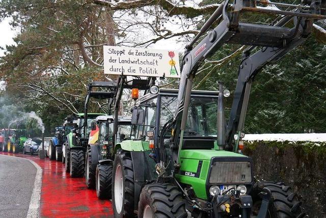 Bauern protestieren in hlingen-Birkendorf gegen Plne der Regierung