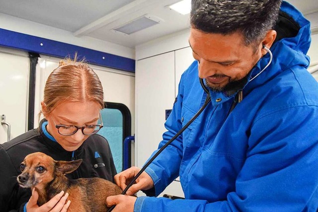Der mobile Tierarzt Francisco Landines... ab, Hundehalterin Caroline assistert.  | Foto: Ren Priebe (dpa)
