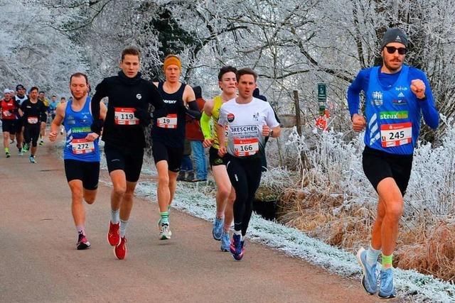 Spitzenzeiten im Winterwald beim Teninger Allmendlauf