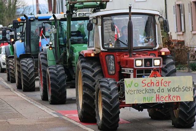 Landwirte protestierten in Lrrach.  | Foto: Katharina Kubon
