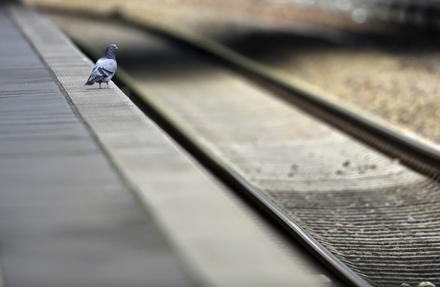 Ruhe auf dem Bahngleis: Beim anstehend...drfte vielerorts kaum ein Zug fahren.  | Foto: Ralf Hirschberger