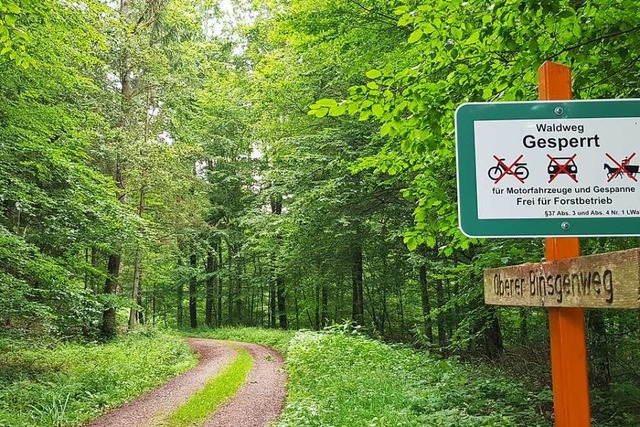 Der Stadt Emmendingen gehren mehr als 600 Hektar Wald.  | Foto: Gerhard Walser
