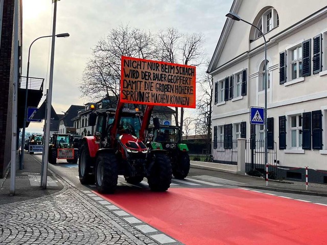 Landwirte protestieren in Lrrach.  | Foto: Katrin Fehr