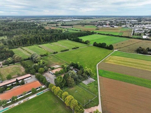 Hier ist der geplante Standort fr das neue Klinikum.  | Foto: Stadt Lahr