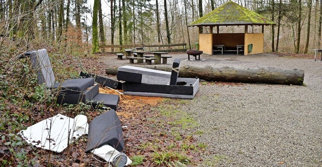 Im Bild: das Ausma der illegalen Mll... Waldparkplatz in Rheinfelden-Herten.   | Foto: Heinz und Monika Vollmar