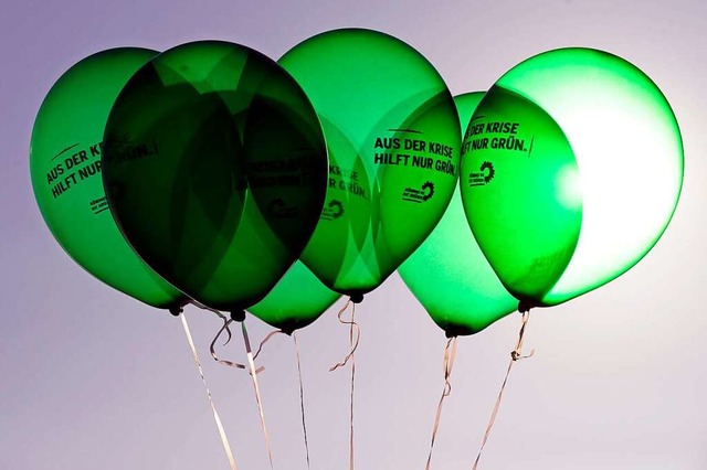 Die Rheinfelder Grnen kommen im Wahljahr nicht zur Ruhe (Symbolfoto).  | Foto: Jochen Lbke