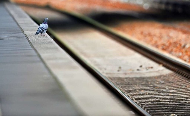 (Fast) kein Zug wird kommen.  | Foto: Ralf Hirschberger
