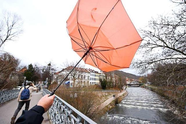 Ungewhnlich mildes Januarwetter in Baden-Wrttemberg noch bis zum Wochenende