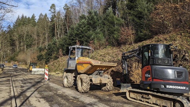 Die Strae zur BDH-Klinik in Waldkirch... fr die Arbeiten halbseitig gesperrt.  | Foto: Patrik Mller