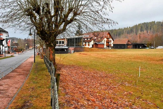 Am Ende der Seestrae in Titisee soll ...tstehen. Den Grnen gefllt das nicht.  | Foto: Thomas Biniossek