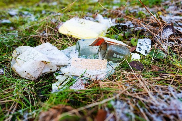 Eine groe Menge Mll, unter anderem e...Wald in Titisee-Neustadt. (Symbolbild)  | Foto: Philipp Schulze (dpa)