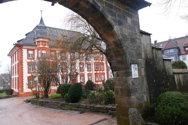 Die neue Fassade fr Schloss Bonndorf geht jetzt auf die Zielgerade