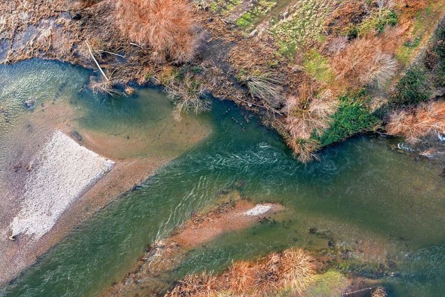 Die Wasserwechselzonen der renaturiert...die Jury eines Wettbewerbs berzeugt.   | Foto: Dieter Ruf