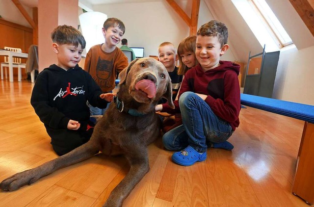 Kinder des Heinrich-Galm-Kindergartens...-jhrigen Kita-Hund &quot;Rocky&quot;.  | Foto: Karl-Josef Hildenbrand (dpa)