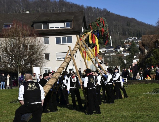 Teamarbeit: Zentimeter fr Zentimeter ...acher Narrenbaum in die Hhe gehievt.   | Foto: Heinz und Monika Vollmar