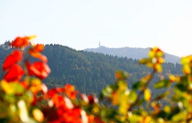 Rotes oder grnes Licht fr die Windkr...iese Frage stellt sich am 18. Februar.  | Foto: Harald Hfler