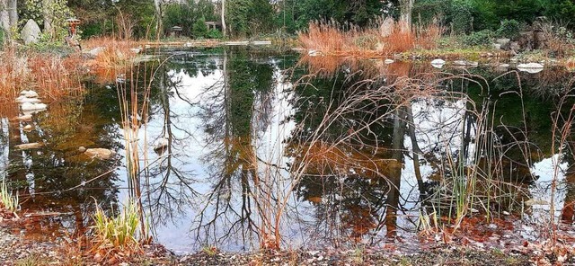 Teich auf dem Freiburger Hauptfriedhof.  | Foto: Christiane Morgen