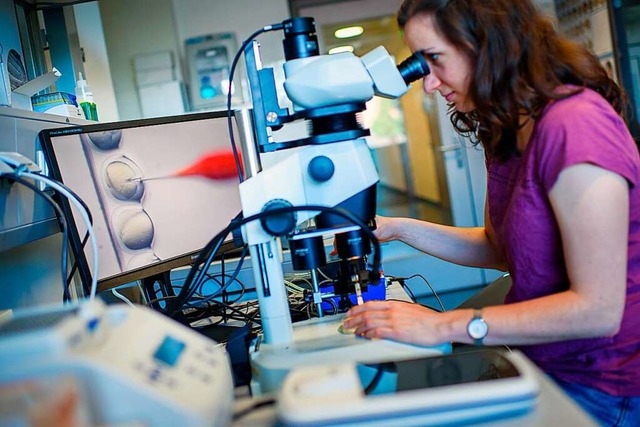 Eine wissenschaftliche Mitarbeiterin s...em Bildschirm in Hintergrund zu sehen.  | Foto: Gregor Fischer