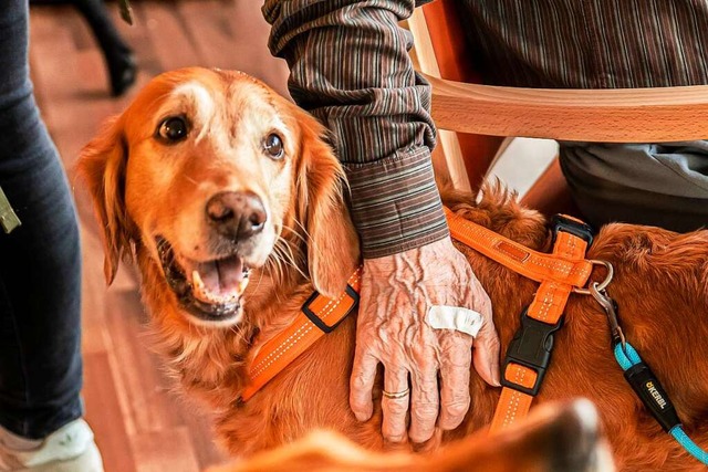 Ein Besuchshund im Seniorenheim in March  | Foto: Hubert Gemmert